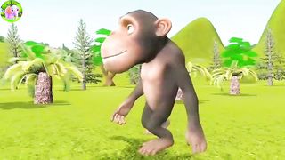Funny monkey cute monkey #monkey