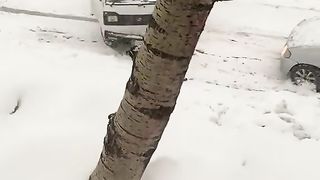 Murree snow falls and accident