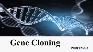 Gene cloning
