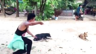 Prank Dog and Tiger