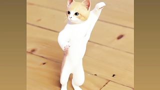 Cat Funny Dance.????????