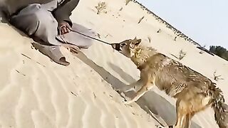 Funny video beautiful video