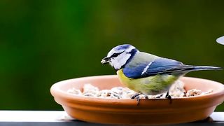 Relaxing video Music