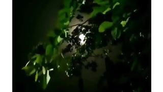 night scene with nice music