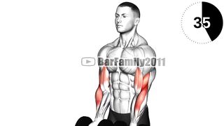 10 Best Dumbbell Exercises for Building Muscle At Home