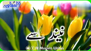 nind se bidar