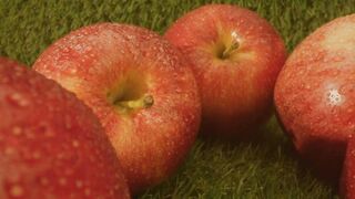 Ripe Apples Falling Through Water