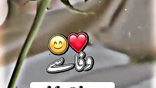 Wafa sy Zindagi song lifeline