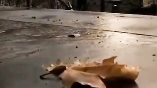 Poetry video