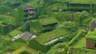 Beautiful whatsapp nature status | follow