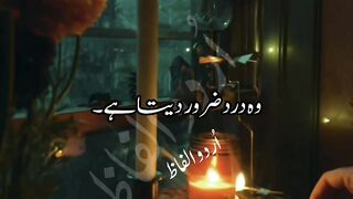 Islamic Status ✨ Urdu Shayari ✨ WhatsApp Status