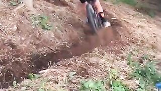 funny videos