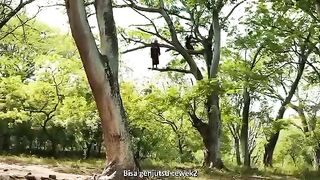 Mantap si lagunya