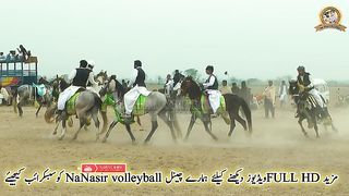 #A herd of horses