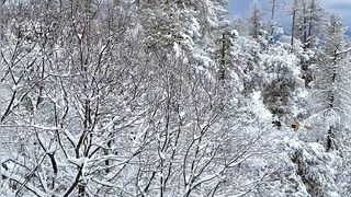 Beautiful Nature