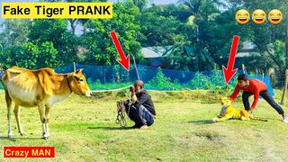 Fake Tiger Vs Crazy Man Prank Video! 2023