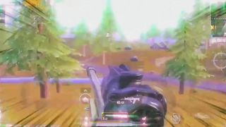 Livik sniper shot