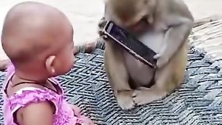 Funy video kid vs monkey ???? #shorts