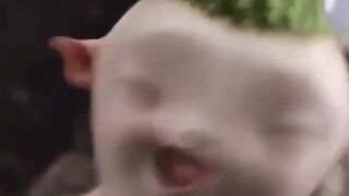 try not to laugh challenge 11