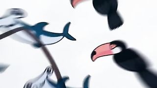 Beautifull birds