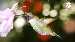 #NATURE BEAUTY