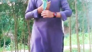 Beautiful parrots Birds in the wo...  budgie-parrot-bird-parrot  Beautiful Parrot, Bird Sounds, Fu...  Parrot Birds  Most beautiful parrot bird