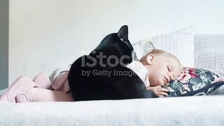Cat video