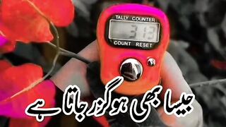 Deep Two Line Poetry Status ????-Heart Touching Shayari status ????- #shorts #youseeandisee