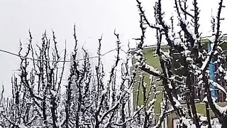 Kashmir During Snowfall
