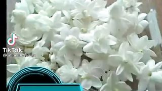 Best video