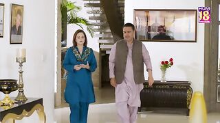 Shareef Larki Kahan Milay gi|Hum Tv|Meesni