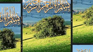 Bismillah bismillah