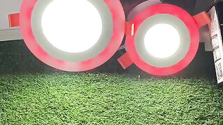 Pop led light with remote