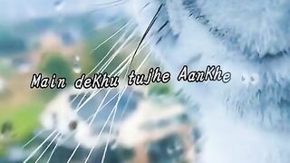 Short status video