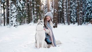 Funny dog playing in snow