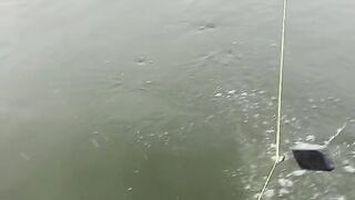 Grandes pescarias