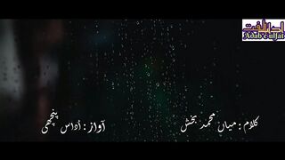 واہ واہ کلام میاں محمد بخش