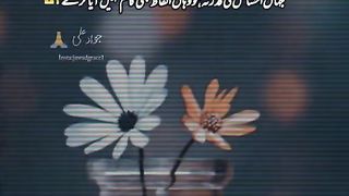 Esy bholy bn k bethy hain#poetry