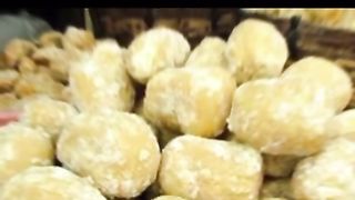|Urdu desi totkayloul; 5 5