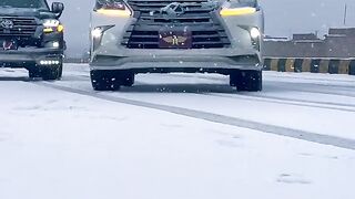 Car lovers