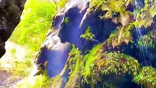 Murree