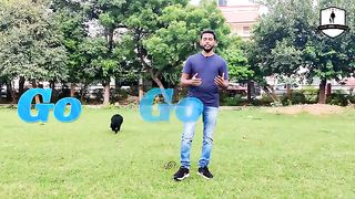 Dog training video