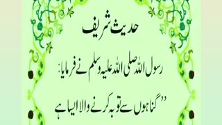 Beautiful ahades