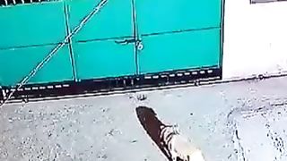 ????????????
