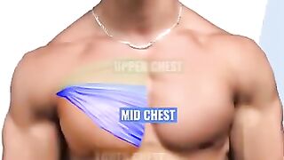 Chest Workout Mistakes Exercises
