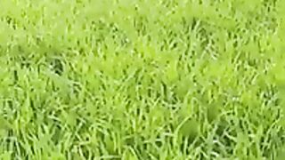 Jabib Jalb Urdu Poetry