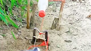 New viral trap
