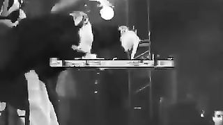 Miyagi Andy Panda