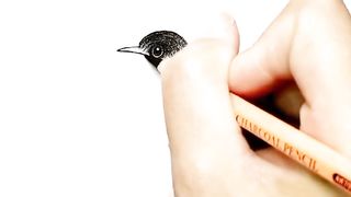 Trick of beauting Drawing