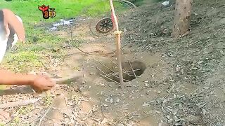 Pigeon trap ????